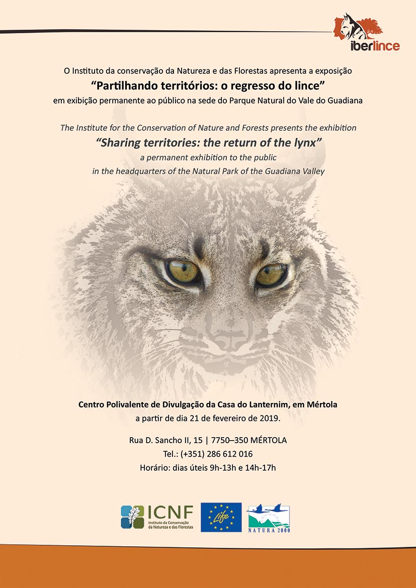 Cartaz de exposição com desenho de cabeça de lince-ibérico