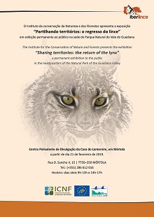 Cartaz com desenho da cabeça de um lince-ibérico