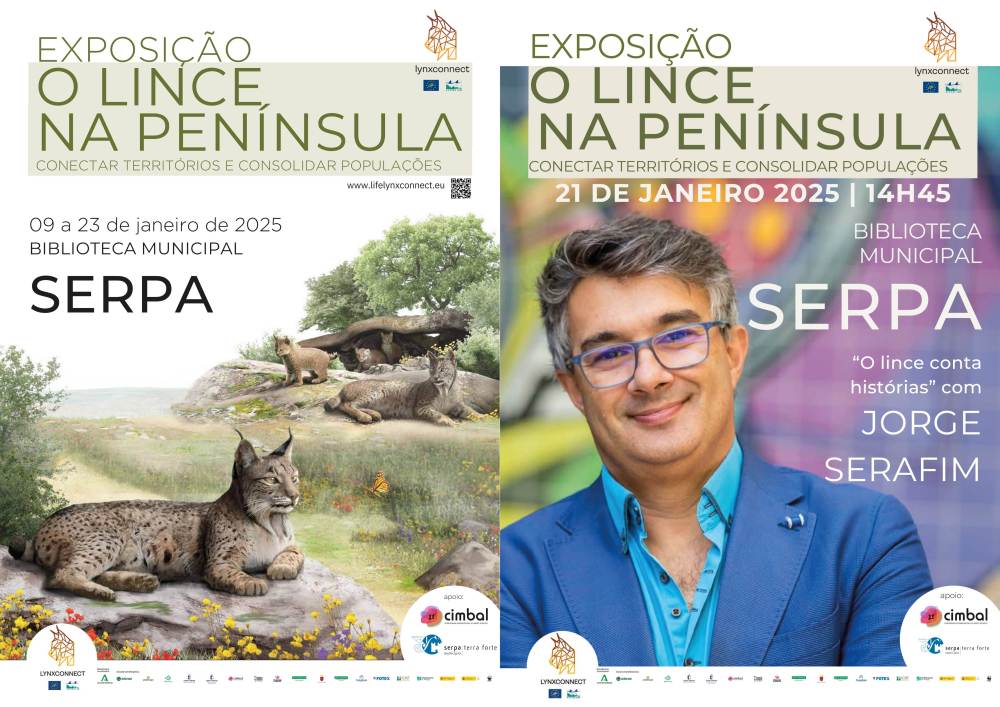 Cartaz exposição " O lince na Península" com desenhos de linces e montado