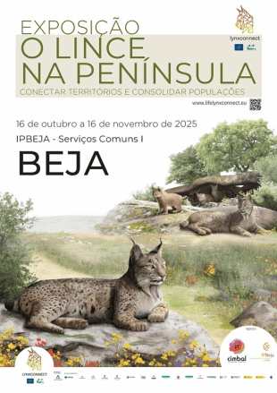 Cartaz exposição " O lince na Península" com desenhos de linces e montado