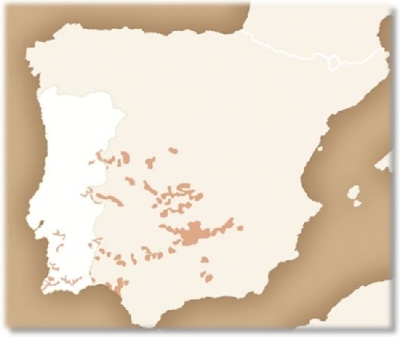 Mapa distribuição - 1988