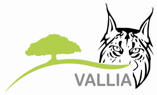 logótipo do projeto vallia