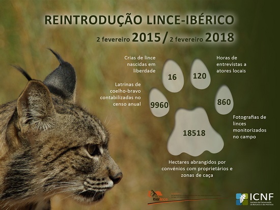 Cartaz com foto de lince-ibérico e informação sobre a reintrodução do lince-ibérico entre 2015 e 2018